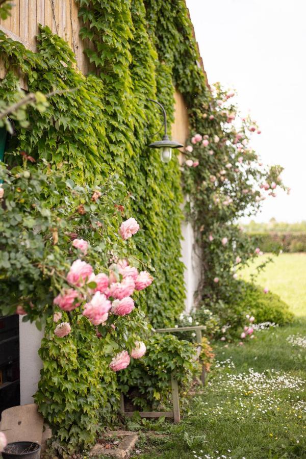La Casa Vecchia B&BCamisano Vicentino エクステリア 写真