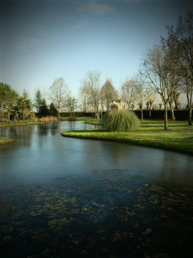 La Casa Vecchia B&BCamisano Vicentino エクステリア 写真