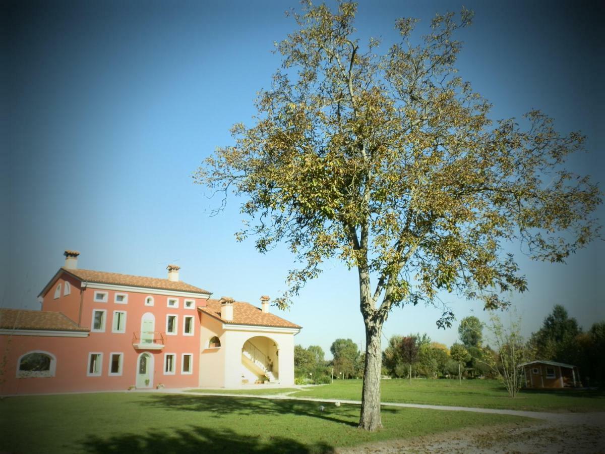 La Casa Vecchia B&BCamisano Vicentino エクステリア 写真